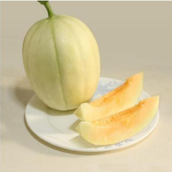 哺乳期可以吃香瓜吗 香瓜的籽能吃吗