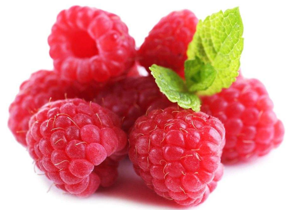 覆盆子和树莓的区别 怎么区分覆盆子和树莓