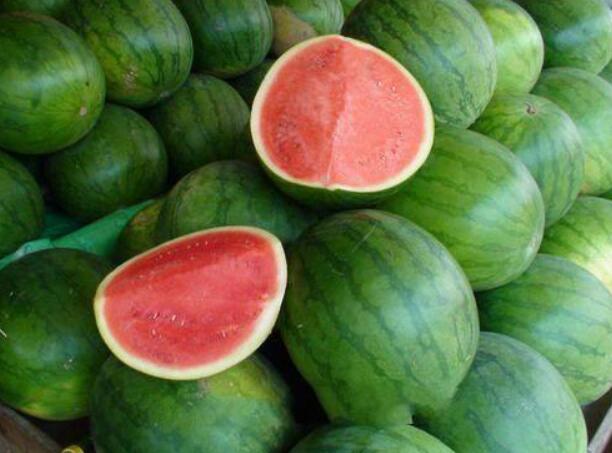 西瓜有哪些品种 西瓜种类大全图片
