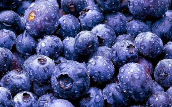 蓝莓一天吃多少为宜 蓝莓可以一天吃一盒吗
