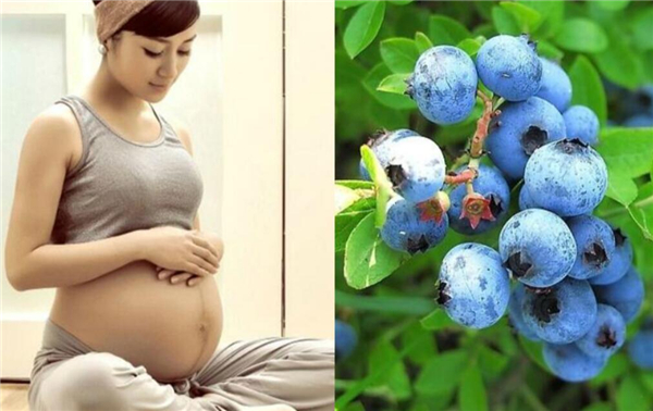 孕妇可以吃蓝莓吗 孕妇一天吃多少颗蓝莓