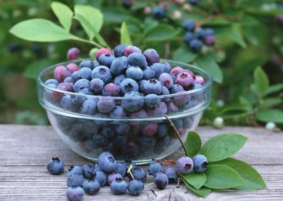 蓝莓汁怎么洗掉 新鲜蓝莓怎么保存