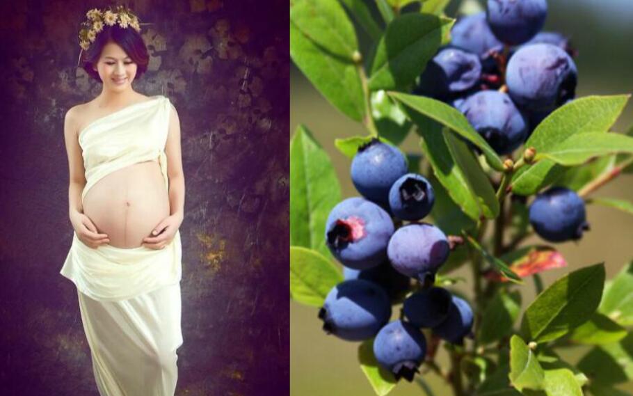 孕妇能吃蓝莓吗 蓝莓的营养价值