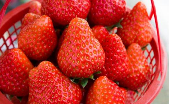 草莓有营养吗 草莓的健康吃法有哪些