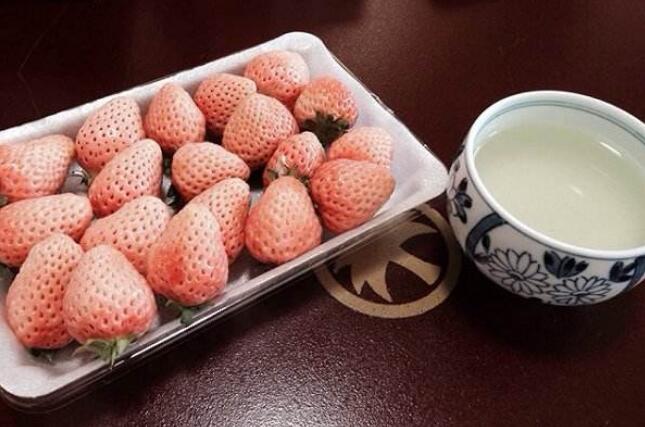 白草莓价格多少钱一斤 白草莓的营养价值有哪些