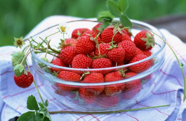 什么样的草莓不能买 吃不完的草莓怎么办