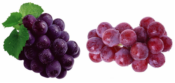 葡萄跟提子有什么区别 葡萄和提子的区别图片