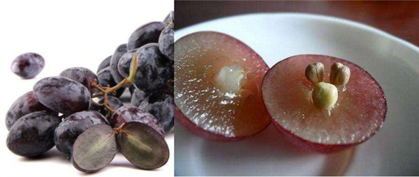 葡萄跟提子有什么区别 葡萄和提子的区别图片