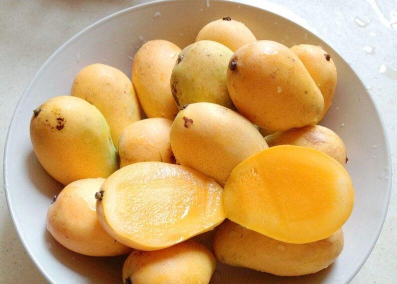 芒果图片，芒果树图片，芒果是什么季节的水果