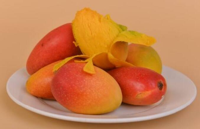 芒果图片，芒果树图片，芒果是什么季节的水果