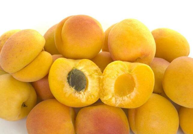 杏子和李子的区别 杏仁和杏子是一样的吗