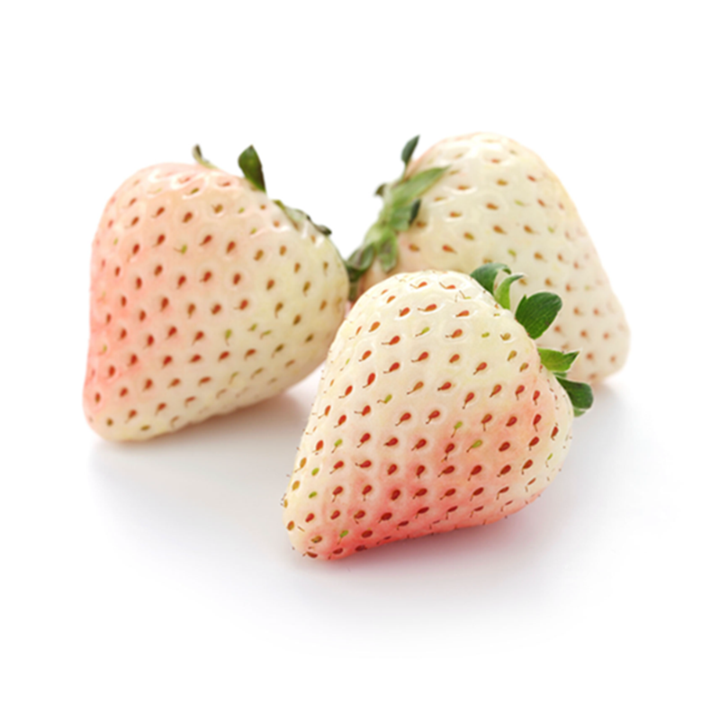 菠萝莓图片大全大图，好吃好看的白草莓