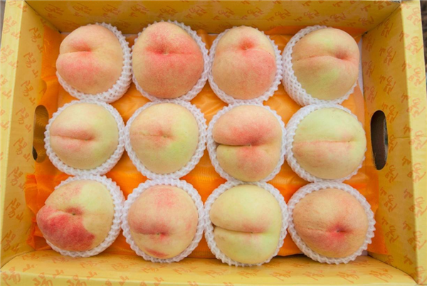 无锡阳山水蜜桃出名吗 阳山水蜜桃甜吗