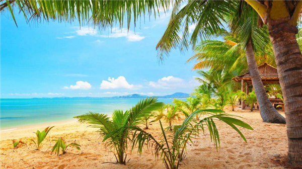 椰子产地在哪里，椰子多产于沿海热带地区