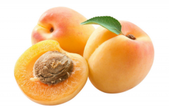 黄桃什么季节成熟(7月中旬) 各品种黄桃成熟时期