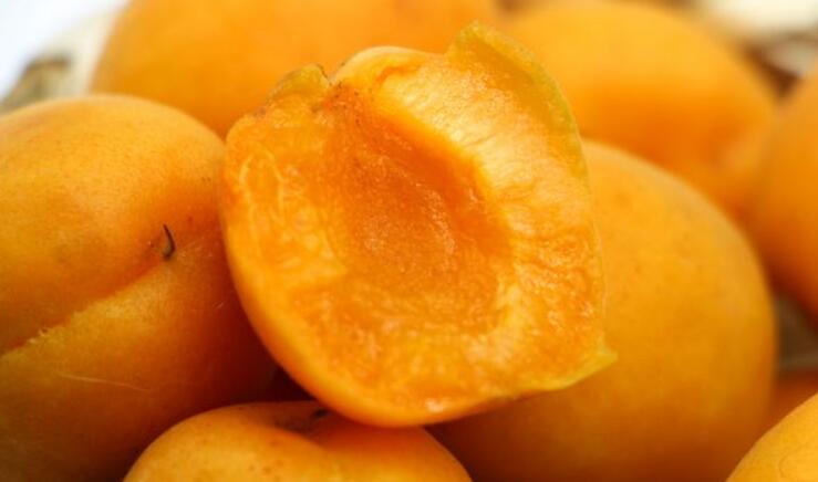 黄桃为什么市面没有，黄桃是易烂水果储存困难