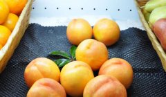 黄桃怎么做好吃，黄桃制作的注意事项