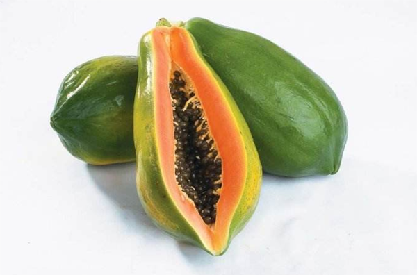 番木瓜图片 番木瓜生长图片 番木瓜是什么