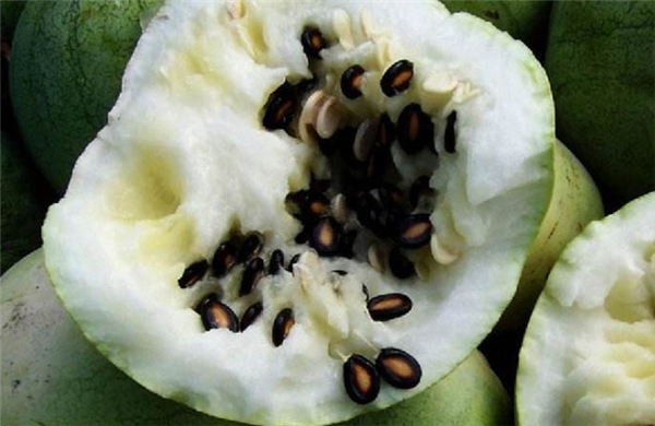 西瓜籽能吃吗，西瓜子吃到肚子会发芽是真的吗
