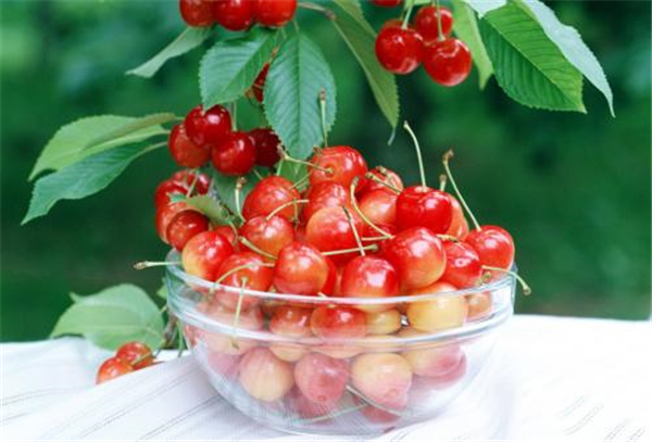 低糖水果排行榜 最适合糖尿病高血糖患者食用的水果