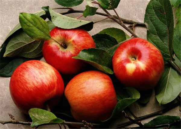 月经期最宜吃什么水果 经期适宜吃的水果排行榜