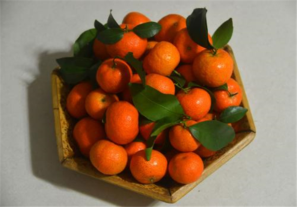 砂糖橘几月开花结果 砂糖橘开花结果图片 砂糖橘的食用小技巧