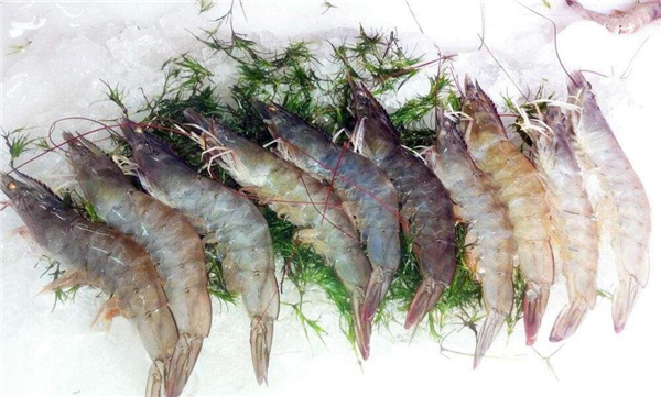 对虾和基围虾的区别，看表皮分辨对虾与基围虾