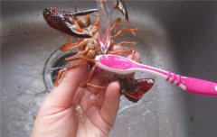 小龙虾怎么清理最干净，冲洗二至三遍用牙刷洗刷腹部