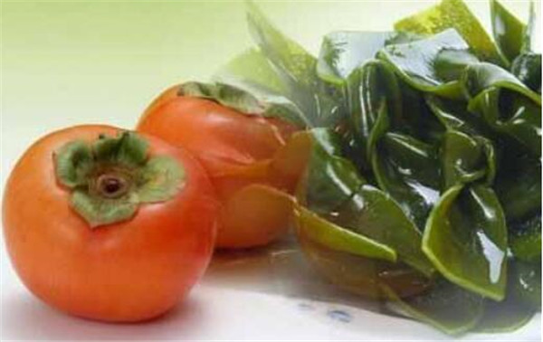 小柿子和什么不能一起吃，柿子和什么相克(高蛋白食物最忌讳）