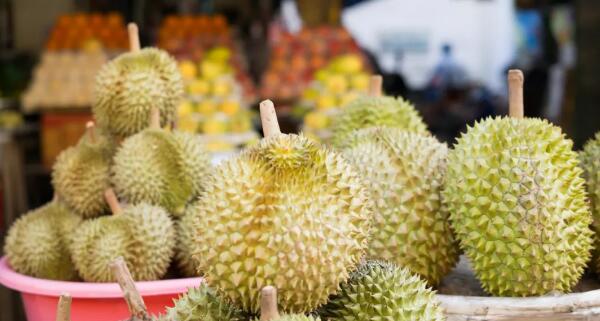 越南特产水果有哪些？越南特产水果特别大个的