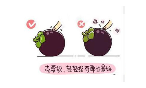 山竹水果的正确吃法漫画，挑选水果的正确吃法山竹篇