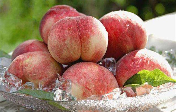 桃子和西瓜能一起吃吗，桃子和西瓜一起吃会中毒吗