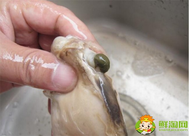 河蚌怎么洗才最干净?河蚌最干净的清理方法(提前两天用清水浸泡)