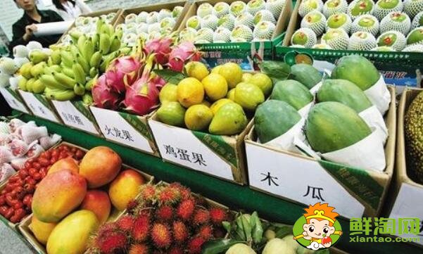 海南热带水果有哪些名称大全，海南热带水果上市时间
