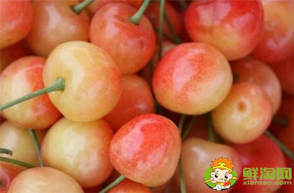 最大的樱桃是什么品种，特大樱桃品种排名