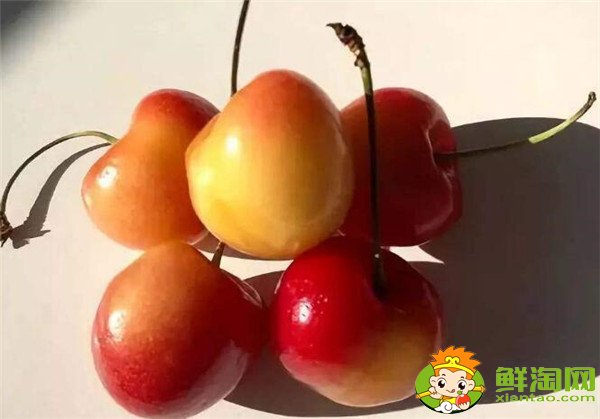 智利樱桃什么时候成熟，智利樱桃品种排名