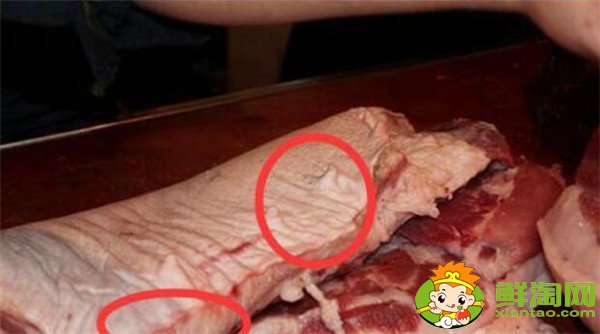 公猪肉和母猪肉的区别是什么，公猪肉好吃还是母猪肉好吃