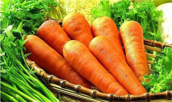 胡萝卜什么时候传入中国，胡萝卜的栽培品种