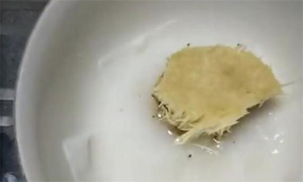 金针菇根部再生方法，金针菇培养液调制再生效果非常好