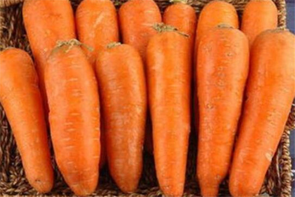 萝卜和胡萝卜的区别有哪些，白萝卜和胡萝卜最大的区别外型不同
