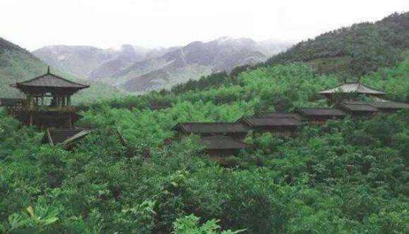 贡茶哪个最好喝,历史上三大贡茶主要产地