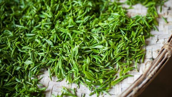 明前茶多少钱一斤(几百不是新茶),明前茶采摘时间部位