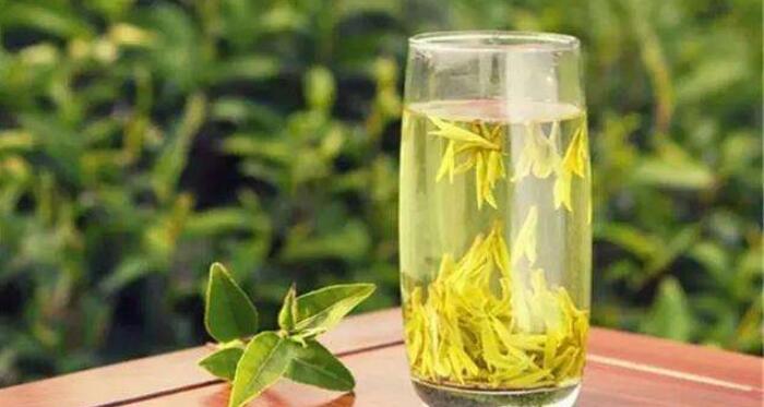 西湖龙井茶是绿茶吗，龙井茶的功效与作用