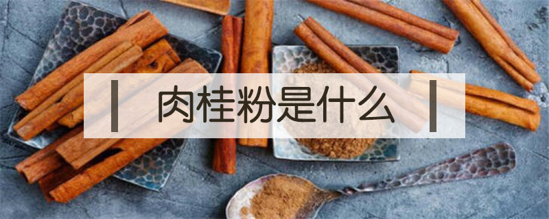 肉桂粉是什么