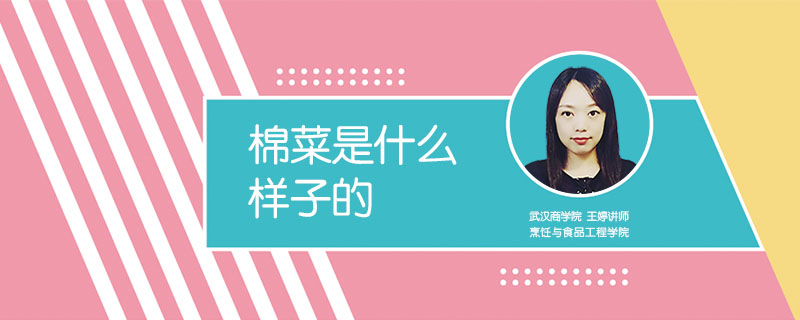 棉菜是什么样子的