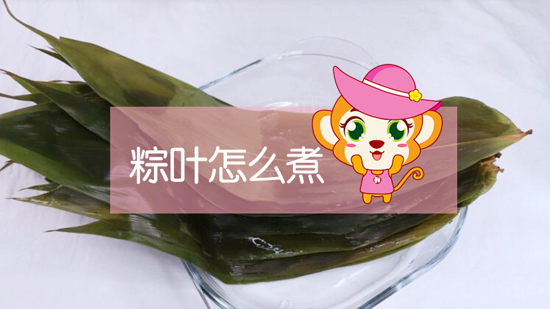 粽叶怎么煮