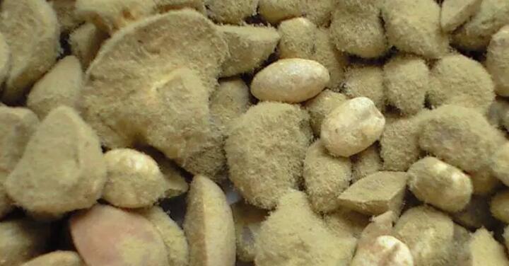 生抽是什么酱油吗