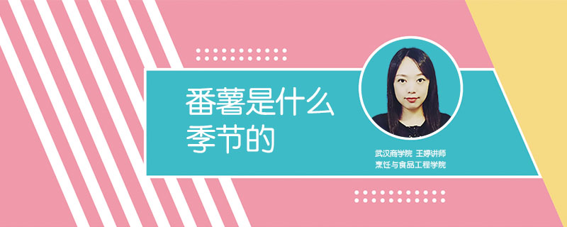 番薯是什么季节的