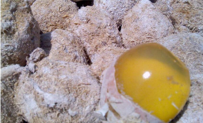 松花蛋的保质期是多久，松花蛋冷藏保质期多久