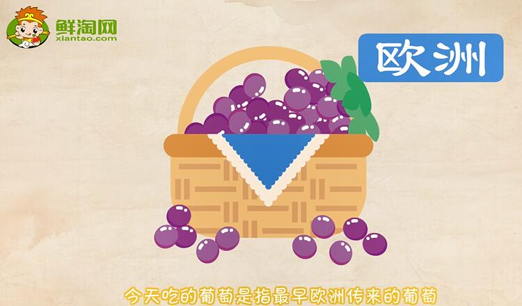 中国种植葡萄始于